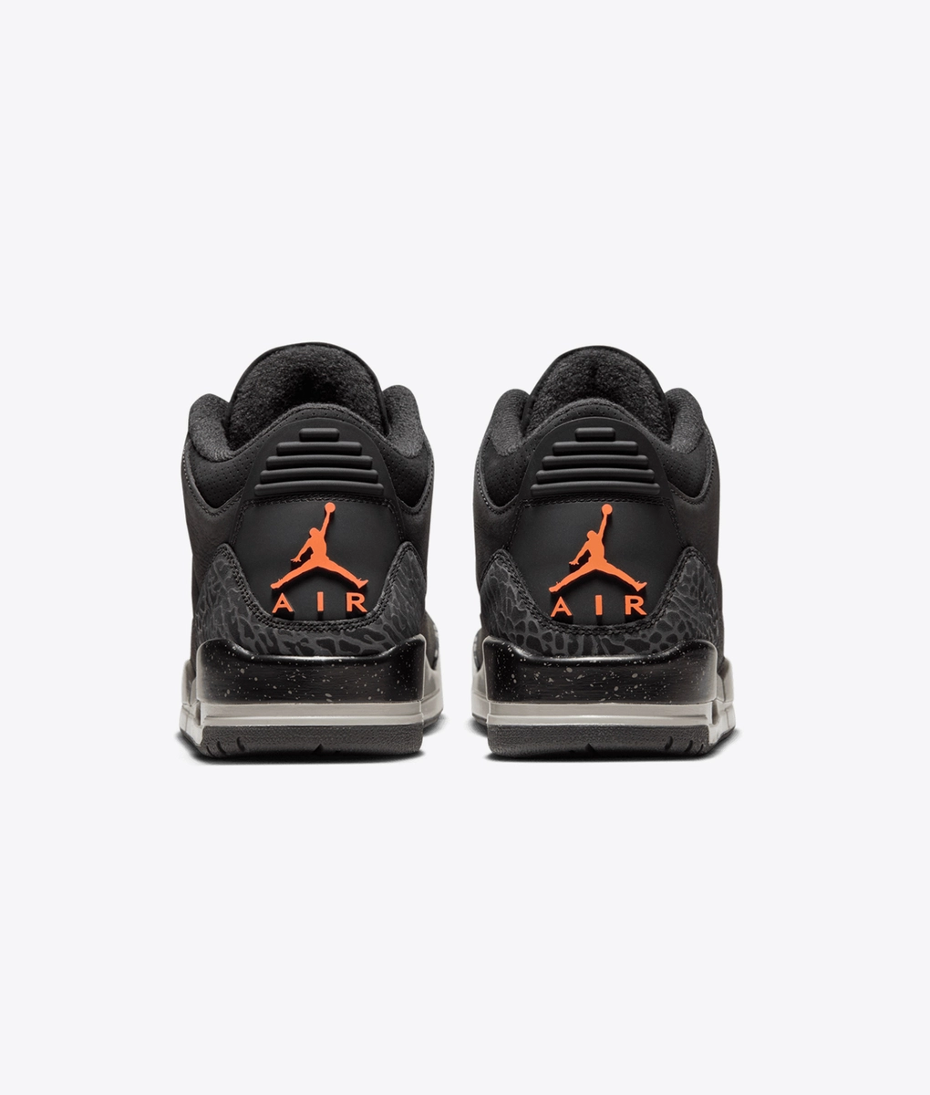 Jordan - Air Jordan 3 Retro - VegNonVeg Jordan - Air Jordan 3 Retro - VegNonVeg