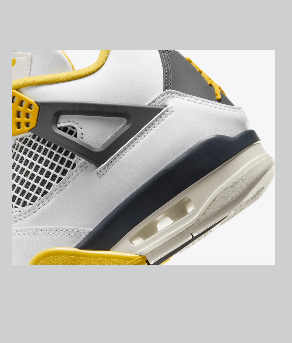 Jordan - Air Jordan 4 Retro - VegNonVeg