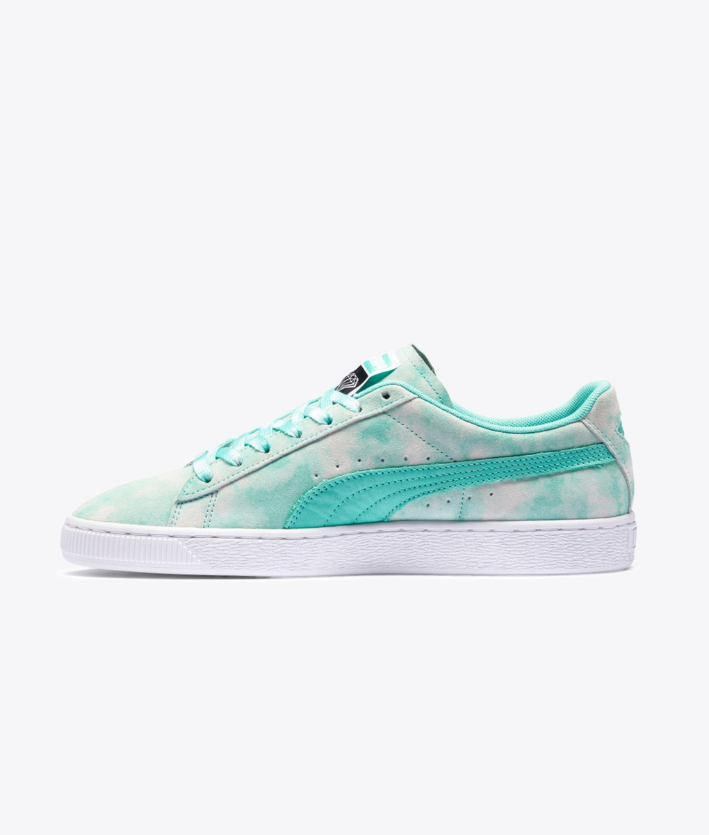 Puma - 1 - VegNonVeg