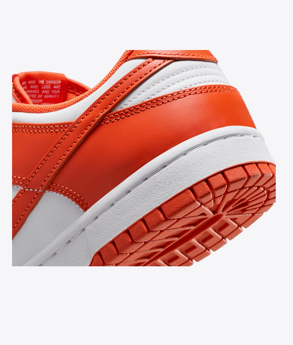 Nike - Dunk Low Retro - VegNonVeg