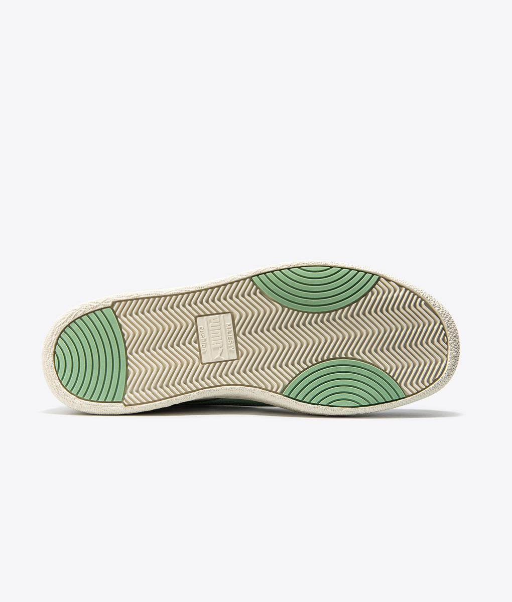 Puma - 1 - VegNonVeg
