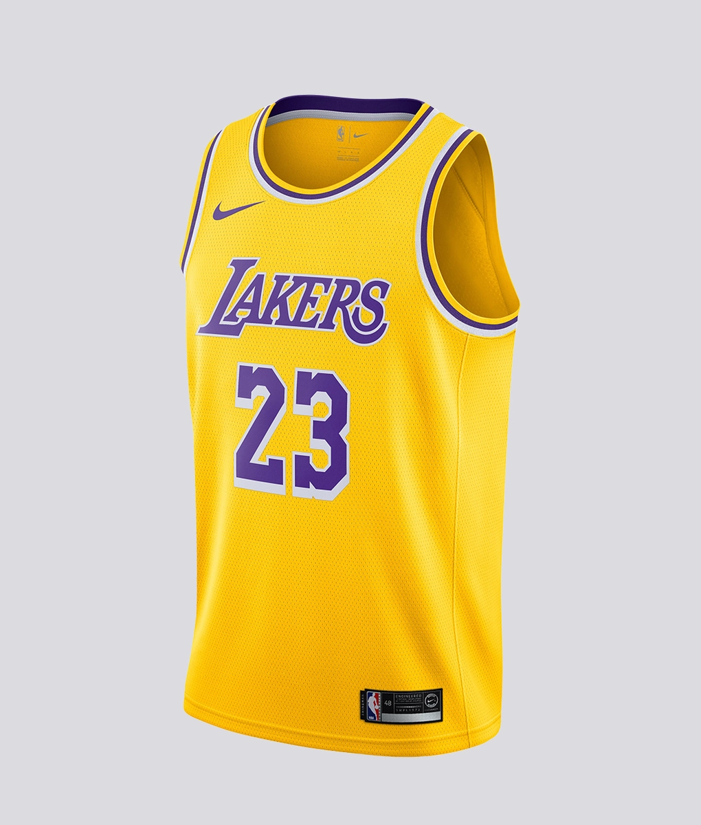 lebron james minneapolis lakers jersey