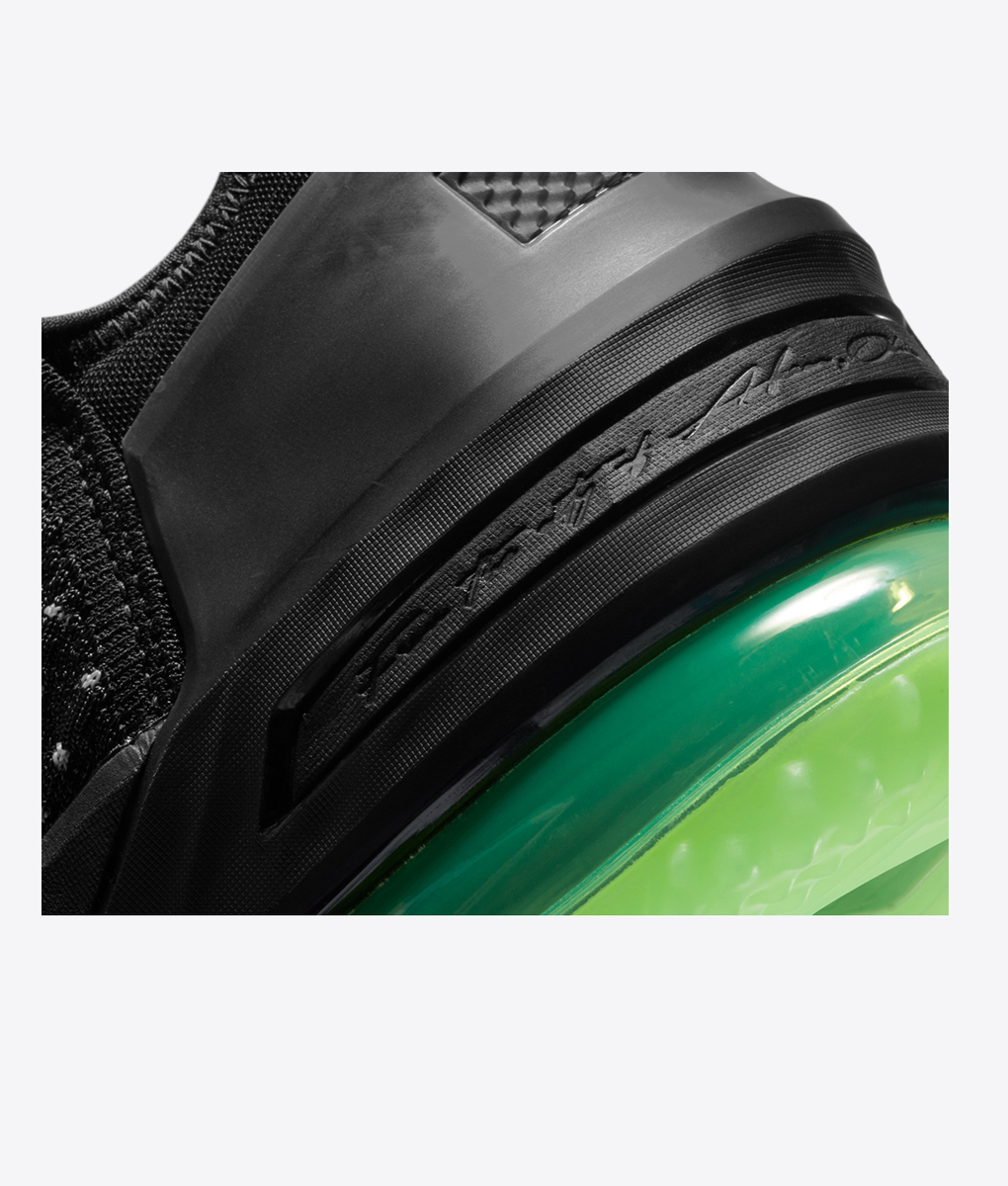 Nike - Lebron Xviii - VegNonVeg