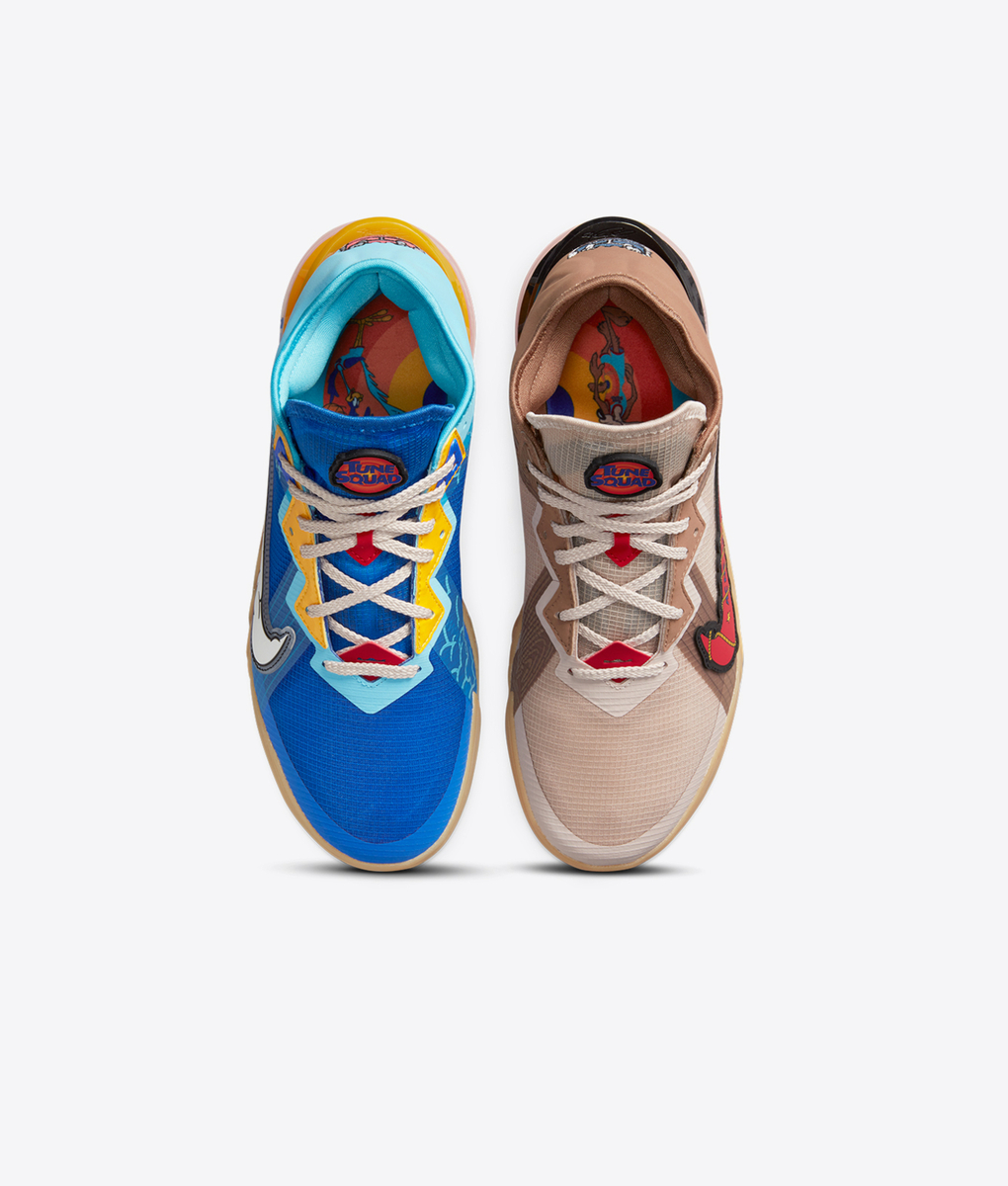 wile e coyote lebron shoes