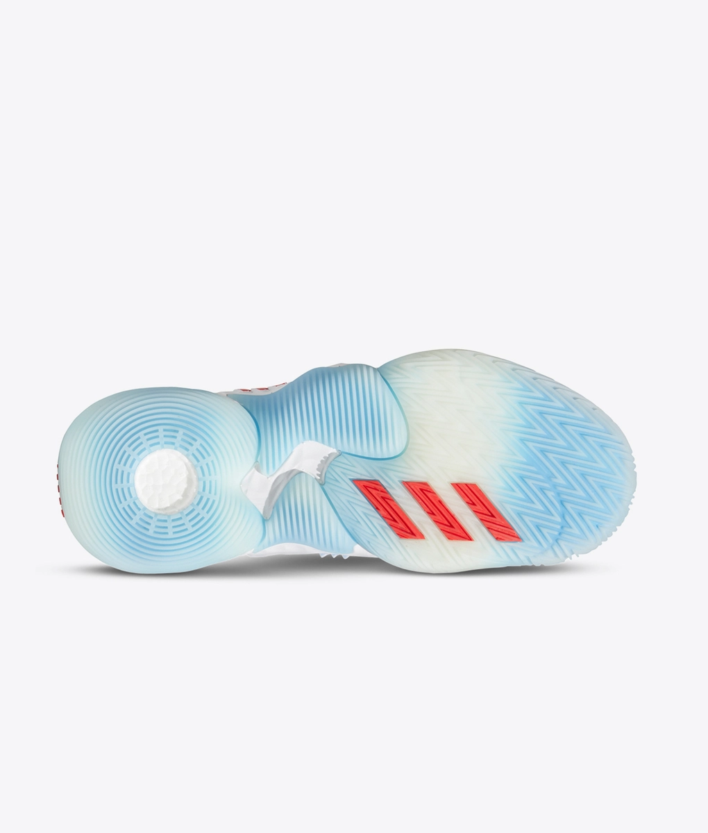 Adidas - 1 - VegNonVeg