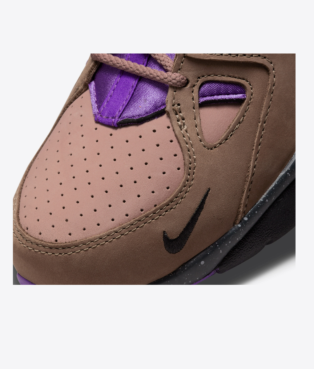 Nike - 1 - VegNonVeg