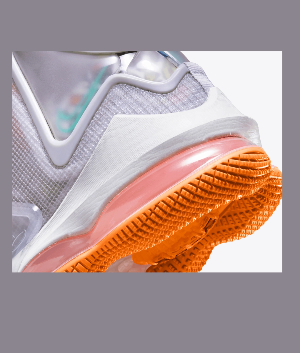 Nike - Lebron Xix - VegNonVeg