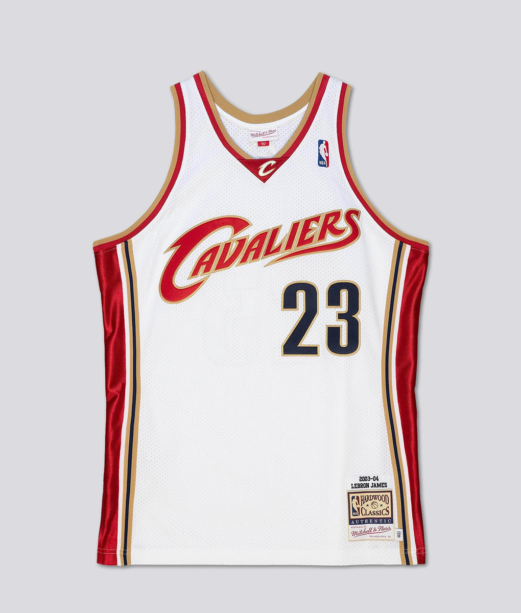 lebron mitchell and ness