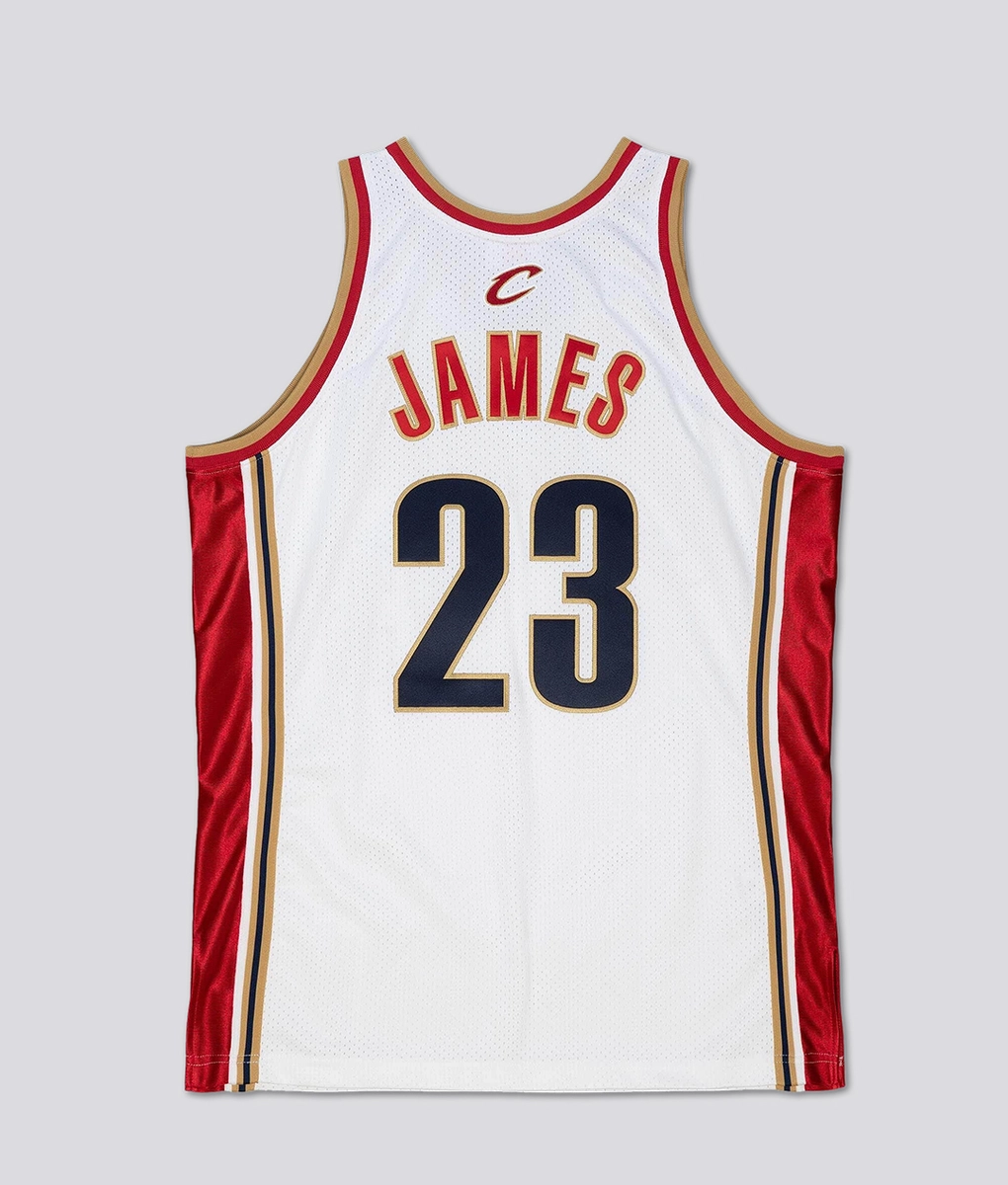 lebron james mitchell and ness