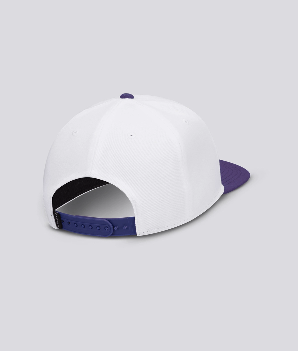 Jordan Jordan Pro Jumpman Snapback VegNonVeg