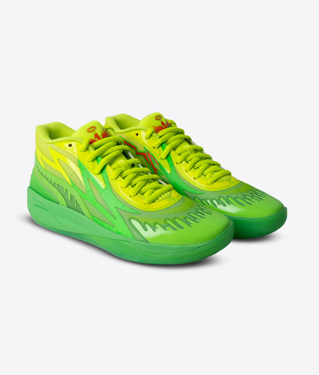 Puma - 1 - VegNonVeg