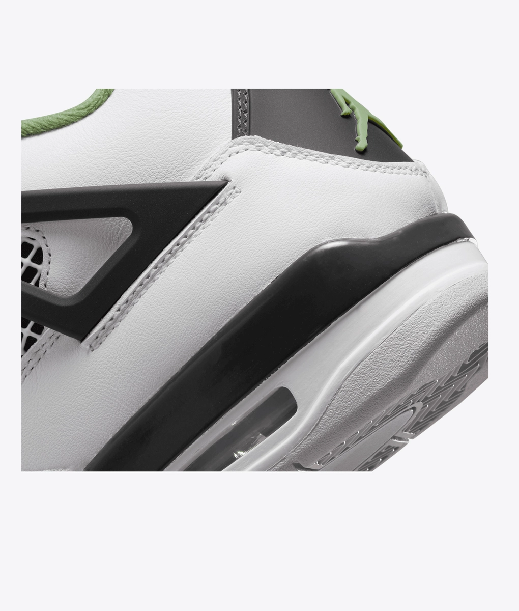 Jordan - Wmns Air Jordan 4 Retro - VegNonVeg Jordan - Wmns Air Jordan 4 Retro - VegNonVeg