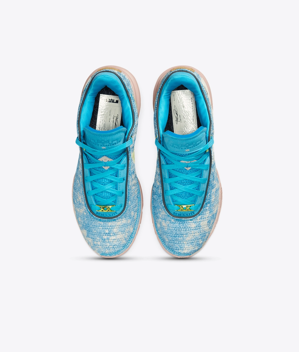 Nike - Lebron Xx Asw Ep - VegNonVeg