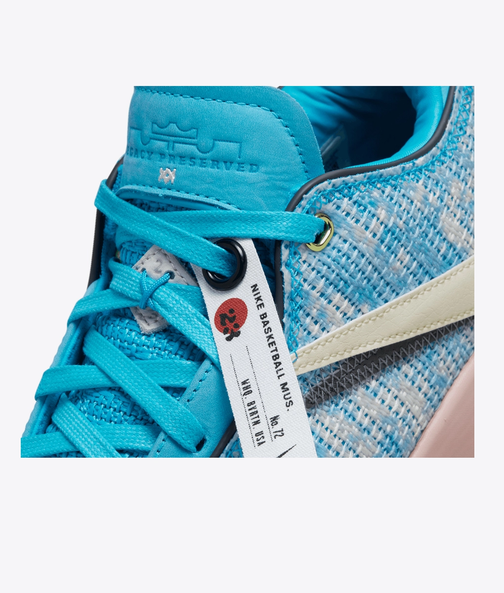 Nike - Lebron Xx Asw Ep - VegNonVeg