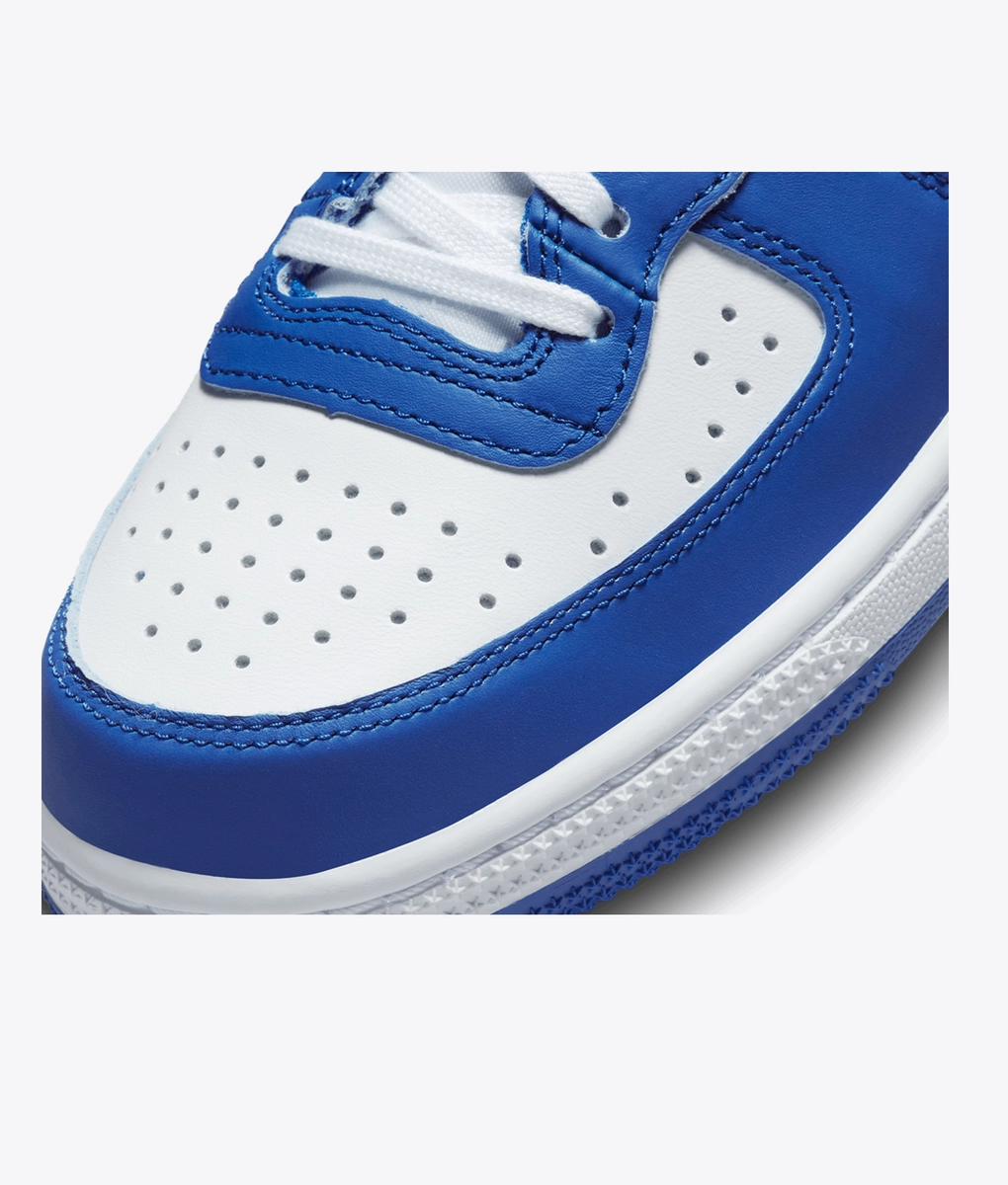 Nike - Terminator High - VegNonVeg