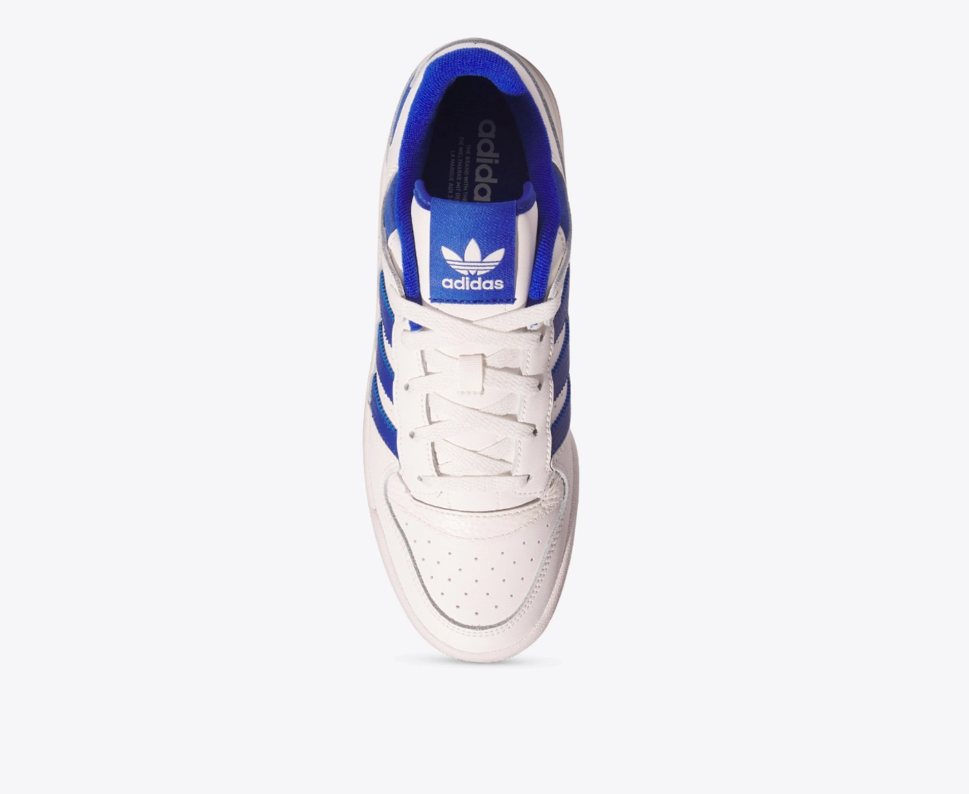 adidas originals forum low blue