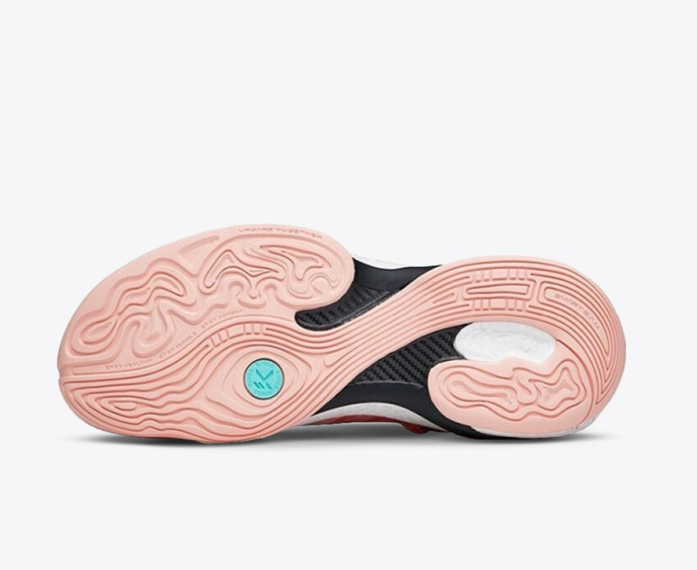 Anta - 1 - VegNonVeg