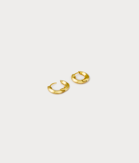 Gold on sale circle earrings