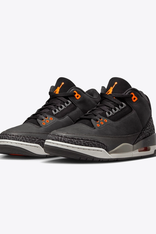 Jordan Air Jordan Retro VegNonVeg