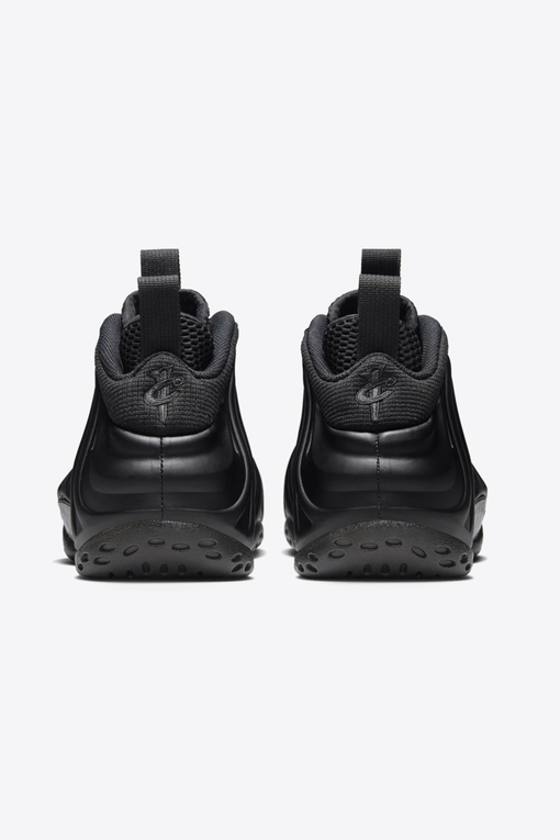 Nike Air Foamposite One VegNonVeg
