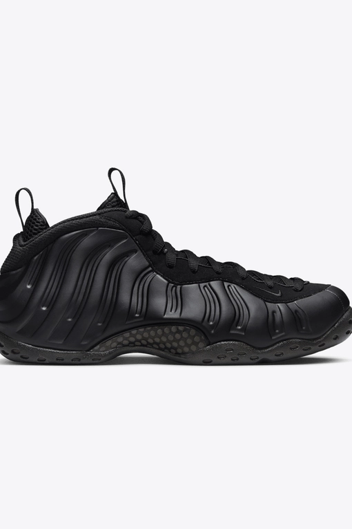 Nike Air Foamposite One VegNonVeg