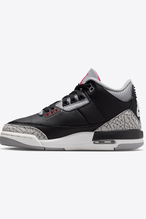 Jordan - Air Jordan 3 Retro - VegNonVeg