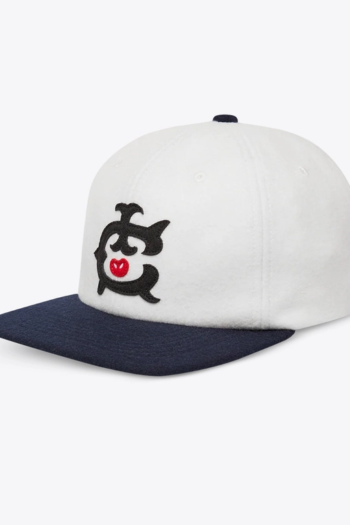 Icecream - 6 PANEL CAP - VegNonVeg