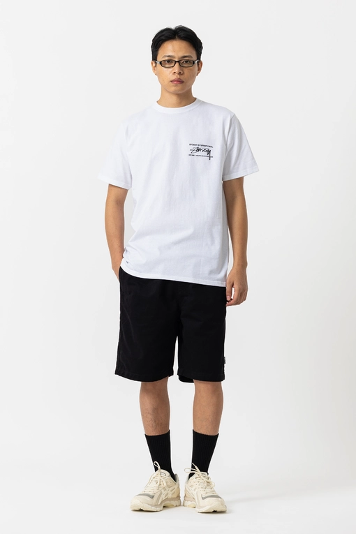 パンツ Stussy Brushed Beach Shorts M Stüssy - BRUSHED BEACH SHORT - VegNonVeg