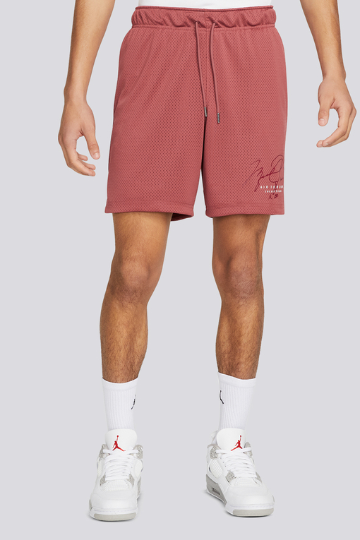 Jordan clearance gfx shorts