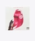 QUEEN RADIO VOLUME 1- NICKI MINAJ