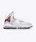 Lebron Xix