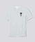 Pumaxamigraphictee
