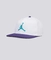 Jordan Pro Jumpman Snapback
