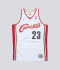 Swingman Lebron James Cleveland Cavaliers 2003-04 Jersey 'WHITE'