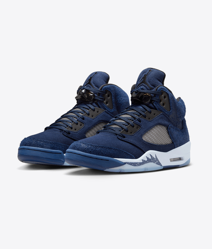 Air Jordan 5 Retro Se