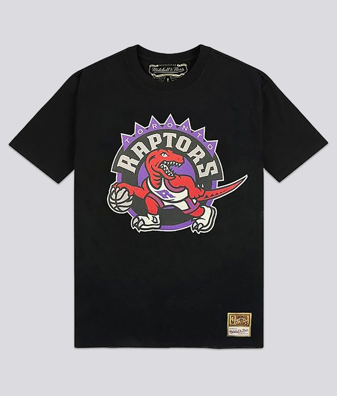 Nba Team Logo Tee Raptors