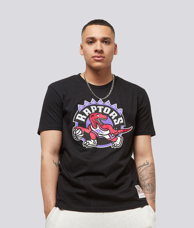 Nba Team Logo Tee Raptors