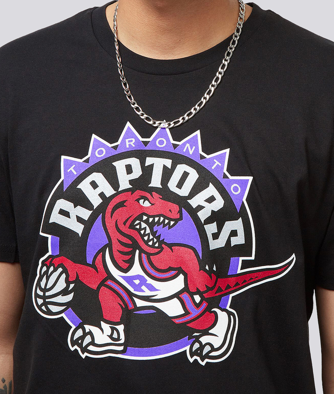 Nba Team Logo Tee Raptors