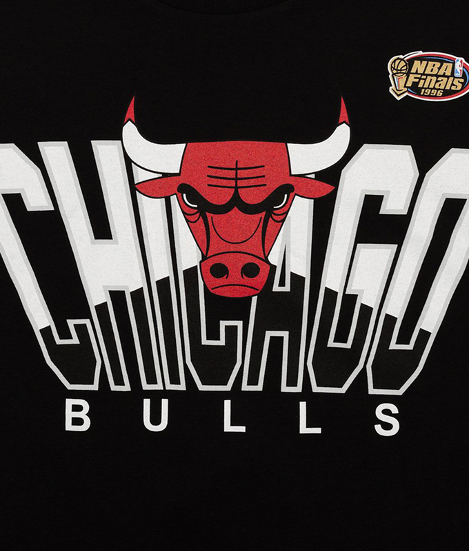 Nba Retrodome Tee Bulls