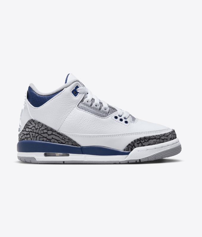 Air Jordan 3 Retro