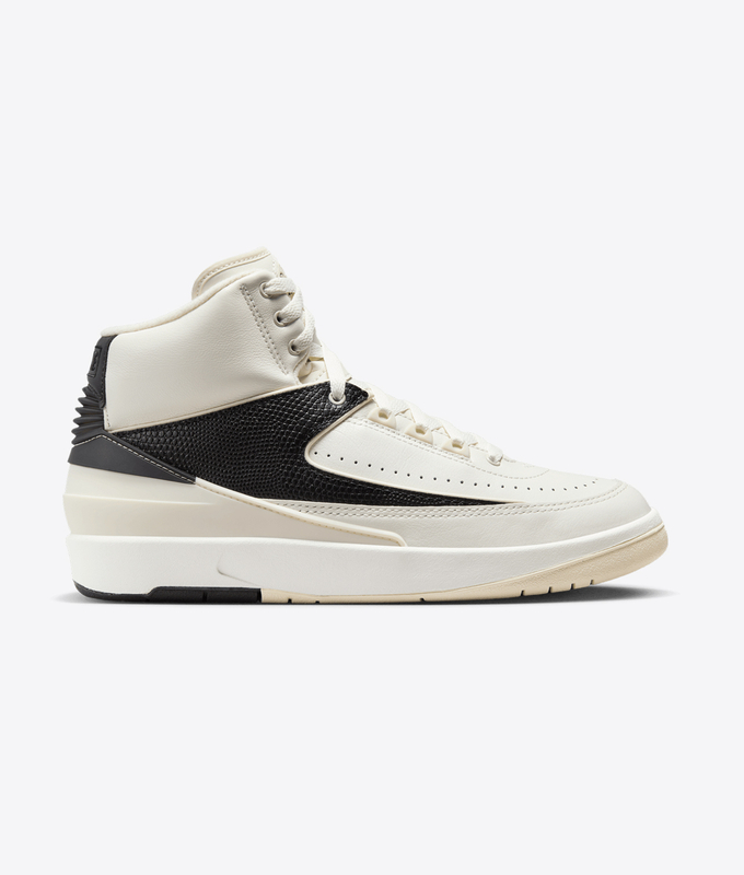 Air Jordan 2 Retro