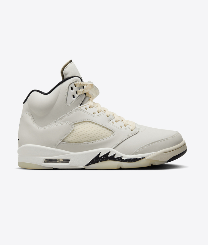 Air Jordan 5 Retro Se