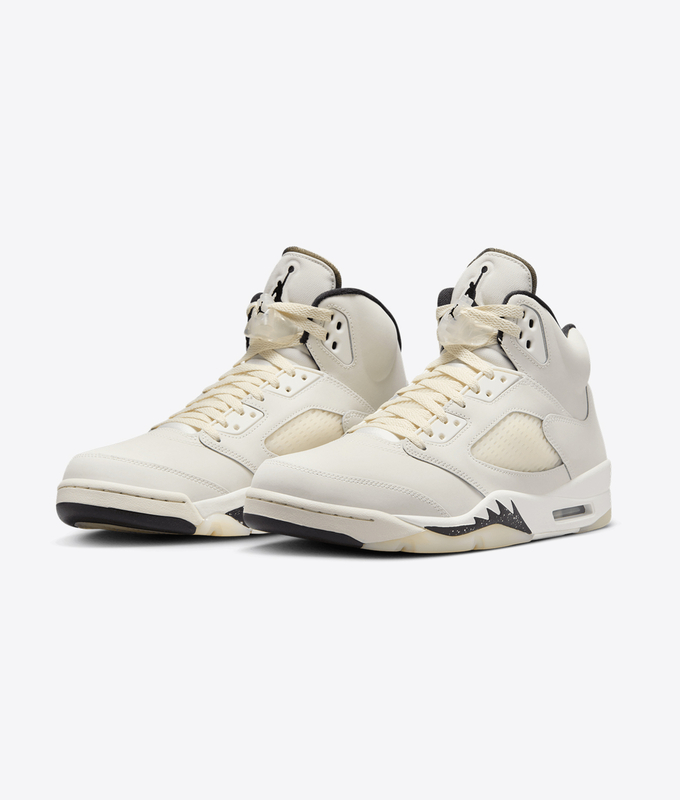 Air Jordan 5 Retro Se