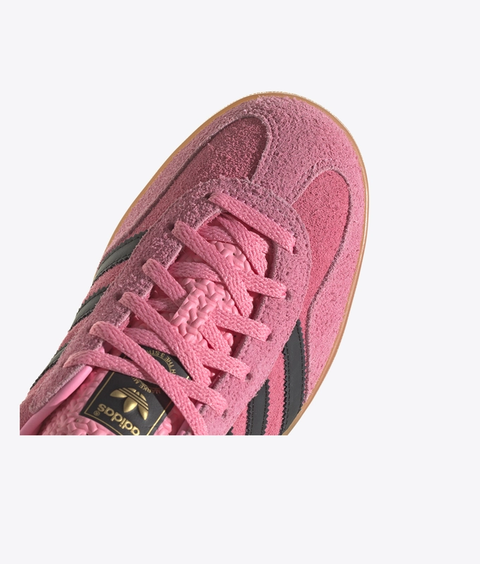 Gazelle Indoor