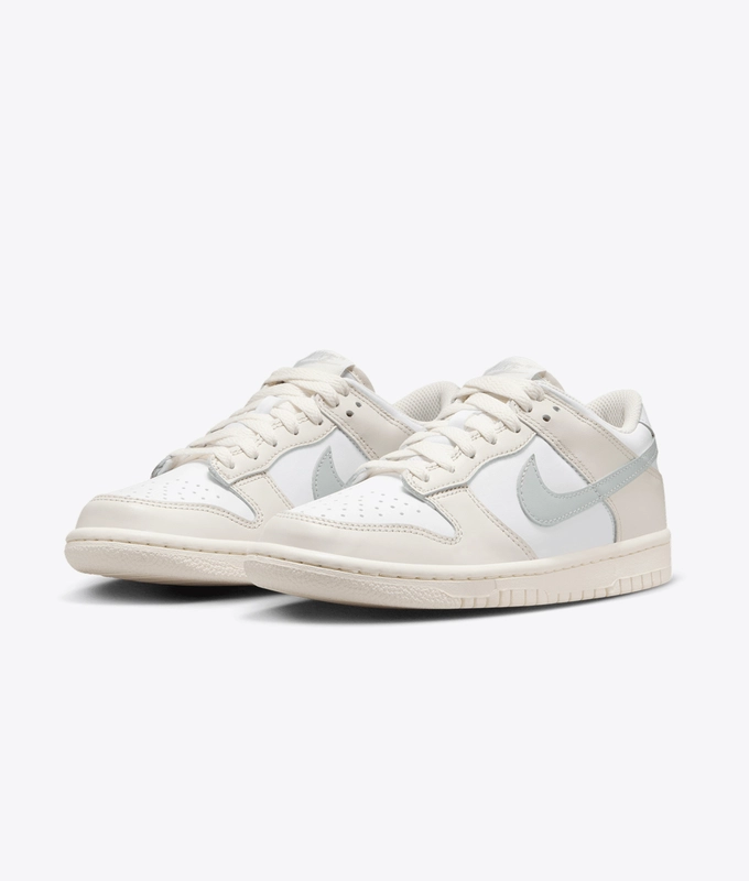 Dunk Low Gs