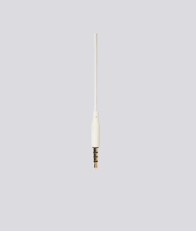 X Braindead Headphones