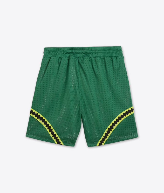 HOOPS X TMNT SHORT