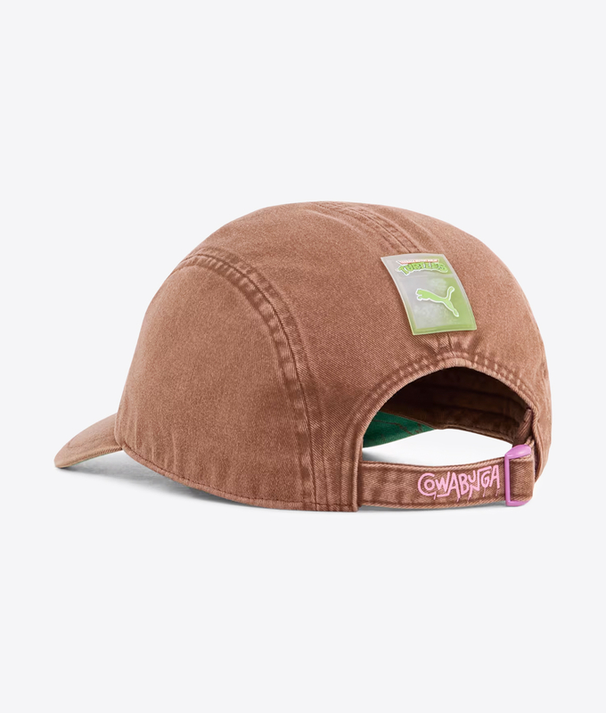 X TMNT 5 PANEL CAP