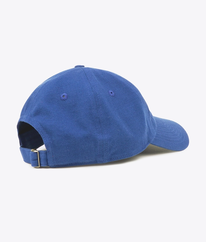 HEALTH IS WEALTH HAT