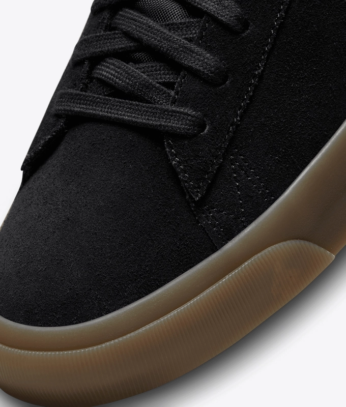 SB ZOOM BLAZER LOW PRO GT